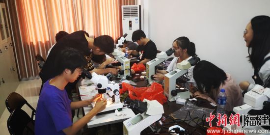 图为植物保护严家显班学生利用显微镜观察害虫切片 刘国坤摄