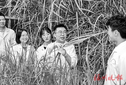 87978797威尼斯科研成果上了国际顶级期刊